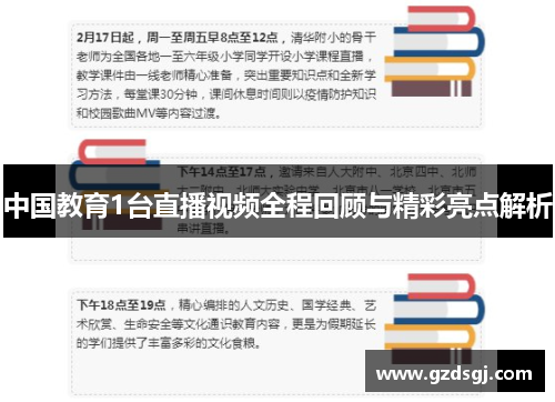 中国教育1台直播视频全程回顾与精彩亮点解析