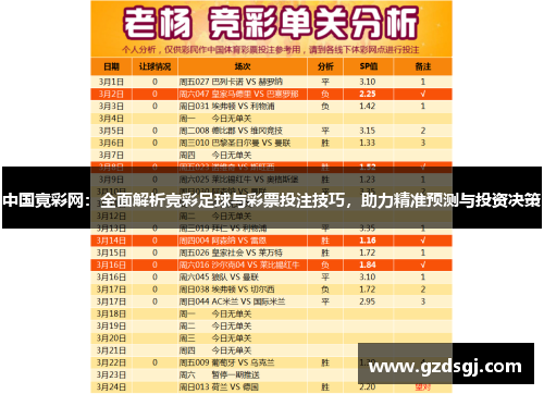 中国竟彩网：全面解析竞彩足球与彩票投注技巧，助力精准预测与投资决策